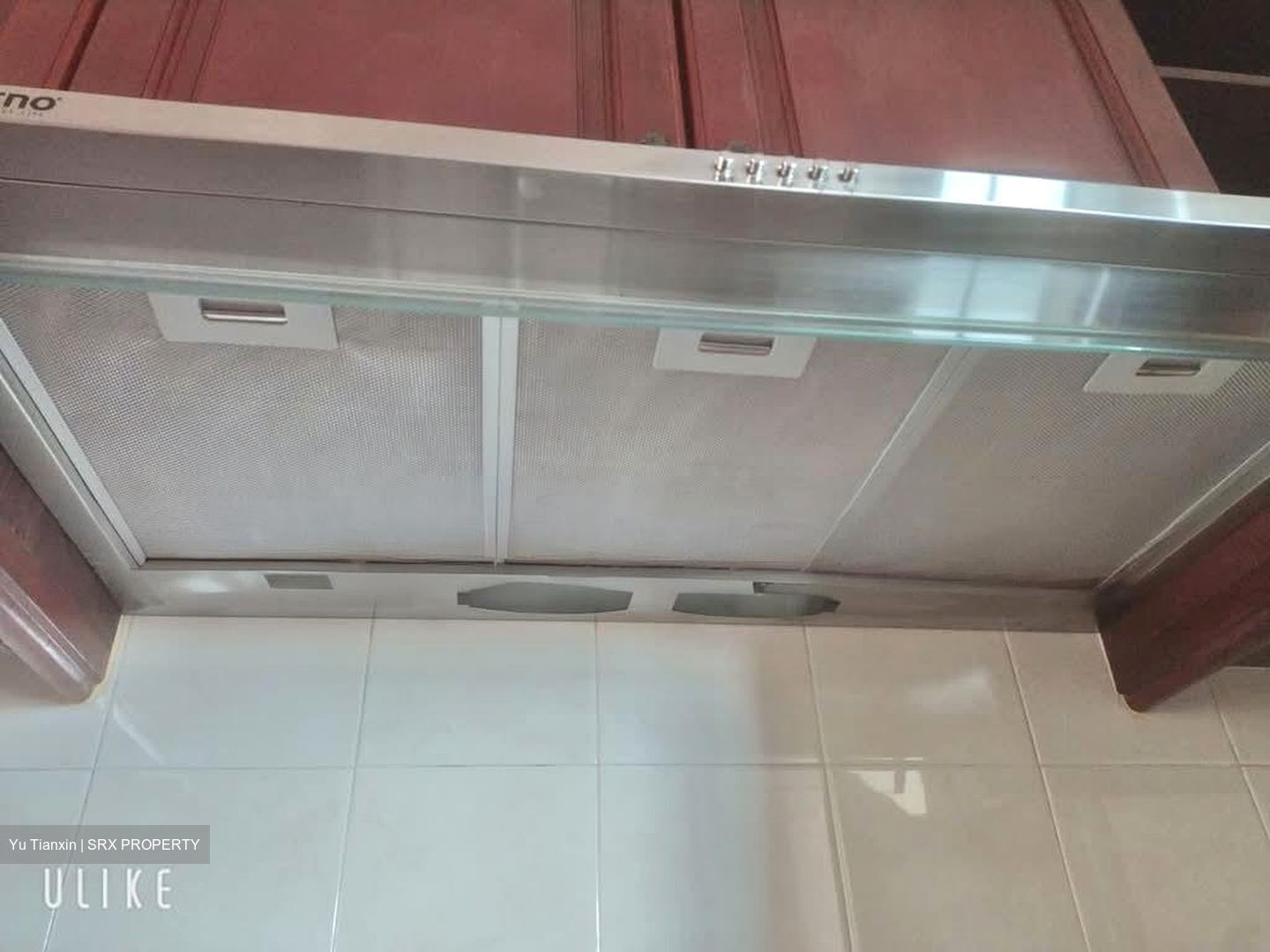 Tanglin Regency (D10), Condominium #605496471